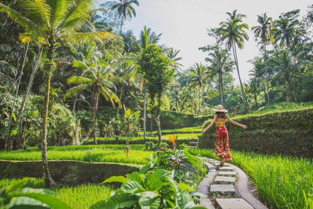 Itinerary Bali
